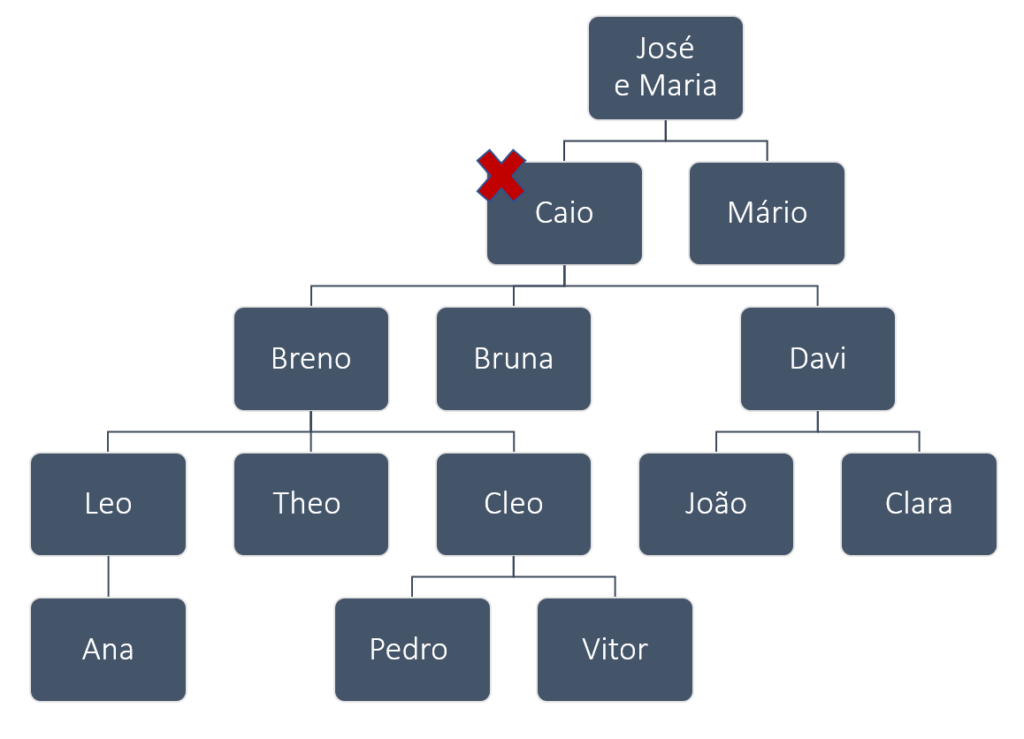 Abertura da Sucessão - Caderno da Tata